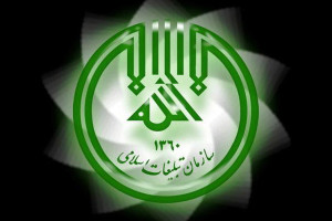 از کنش‌گری در حوزه جمعیت تا برنامه‌ریزی برای قشر خاکستری جامعه